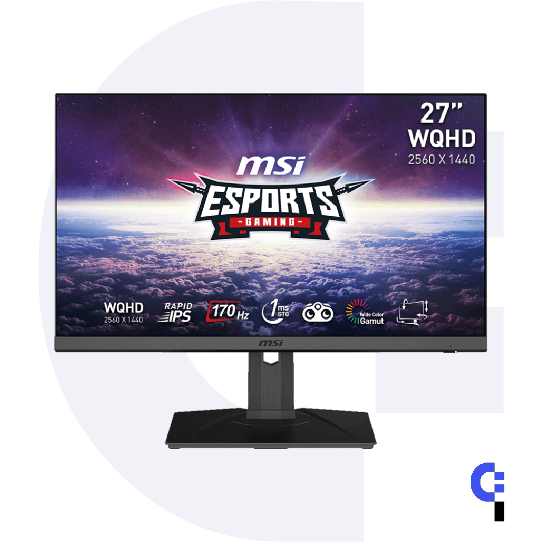 240hz Monitor Msi Ips G Sync MSI G272QPF E2 27 Inch WQHD Gaming